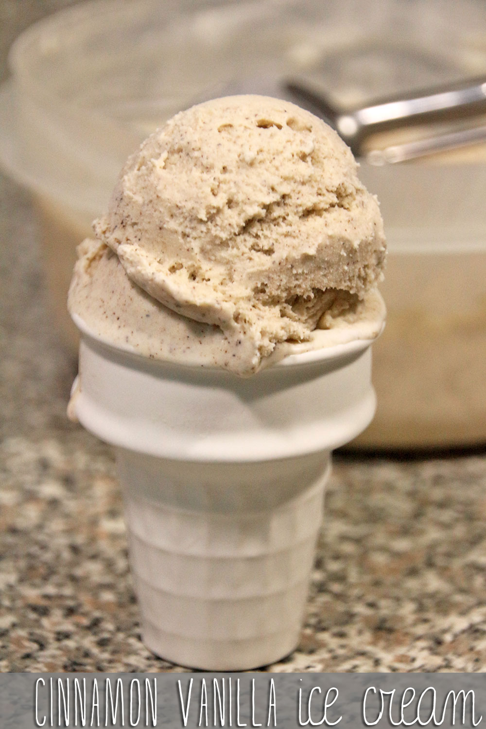 Cinnamon Vanilla Ice Cream Recipe