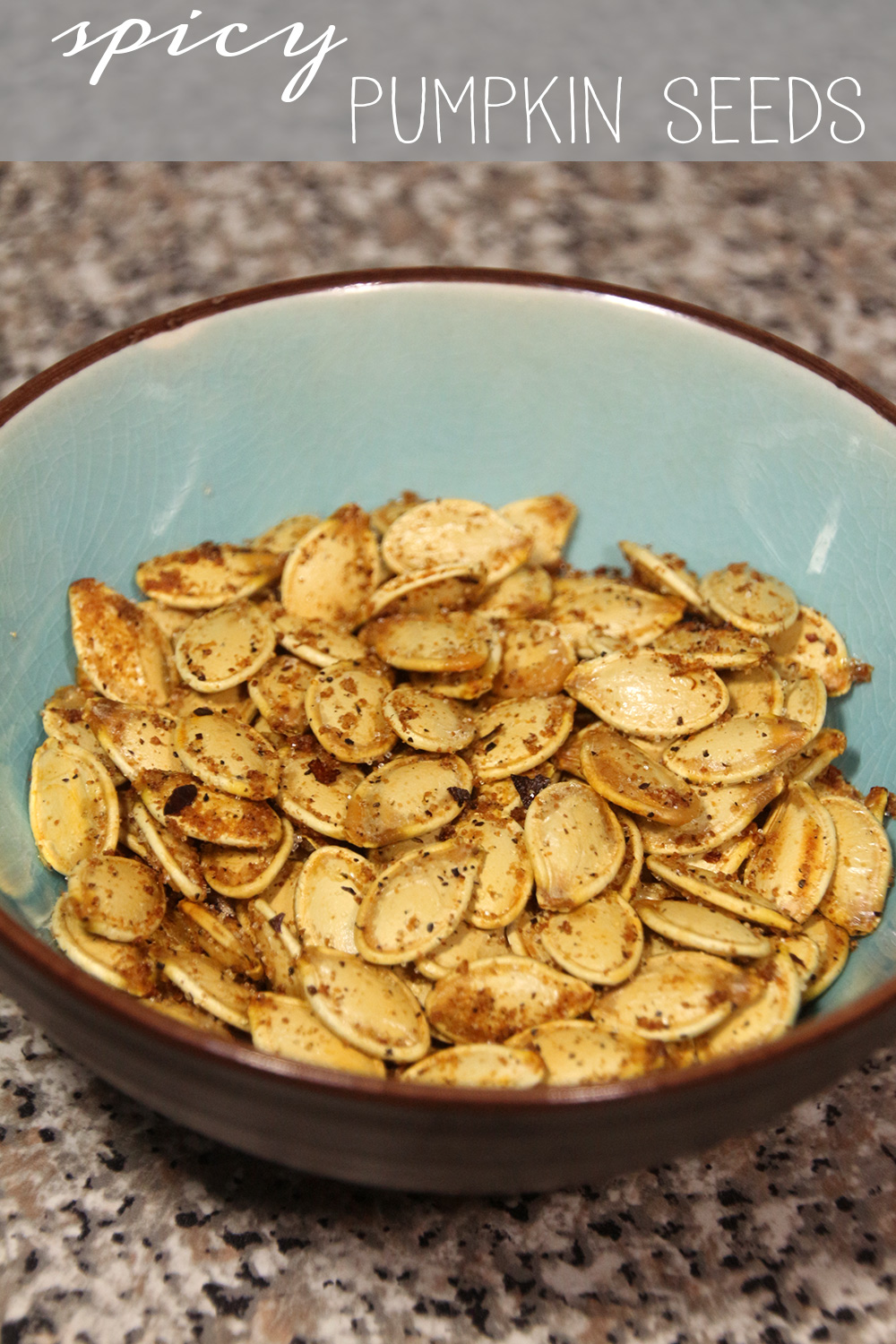 Spicy-Pumpkin-Seeds-013-text