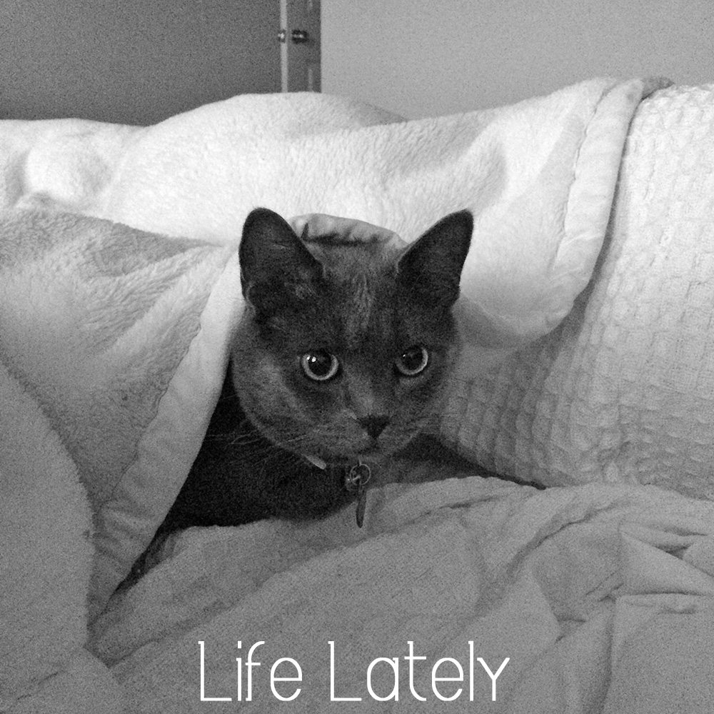 Life-Lately